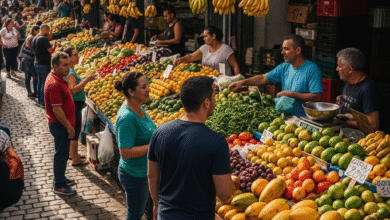 Feiras livres imperdíveis em cada zona da capital